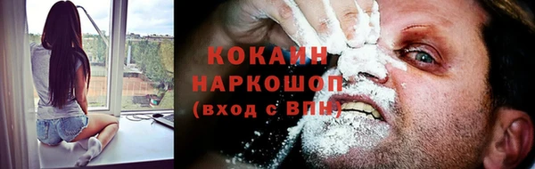 твердый Инсар