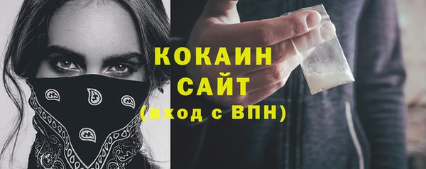 твердый Инсар