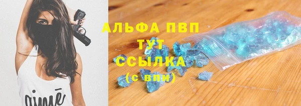 твердый Инсар