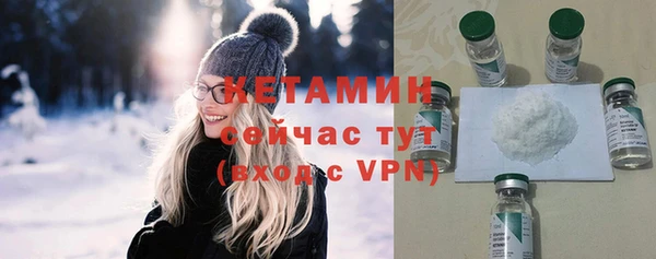 твердый Инсар