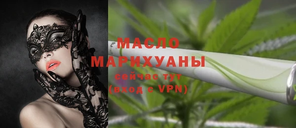 твердый Инсар