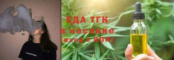 твердый Инсар