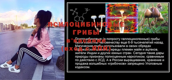 твердый Инсар