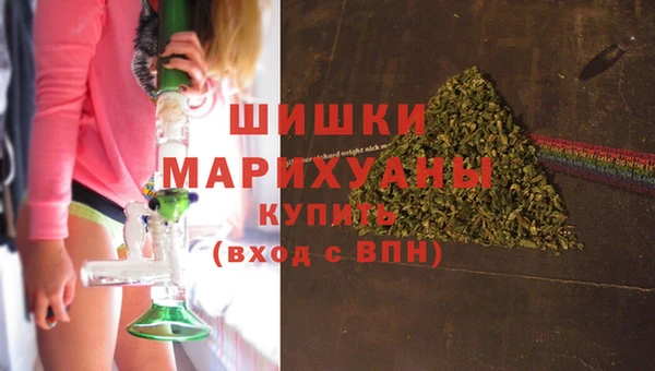 дживик Иннополис