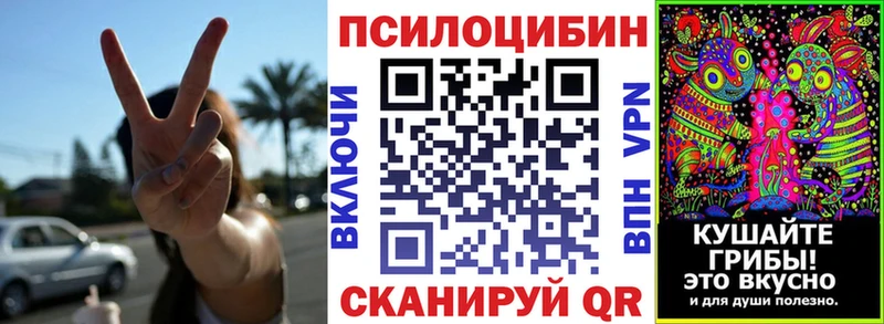 Галлюциногенные грибы Psilocybe  Кызыл 